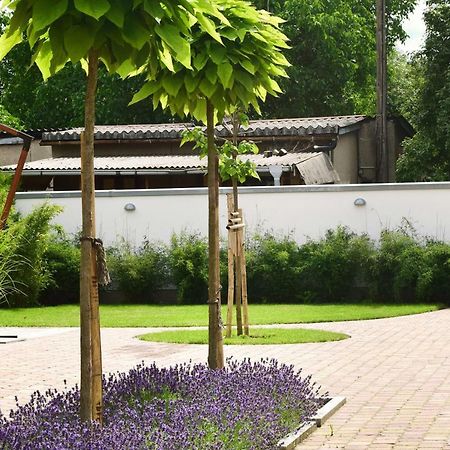 Villa Veda ツェーデニック エクステリア 写真